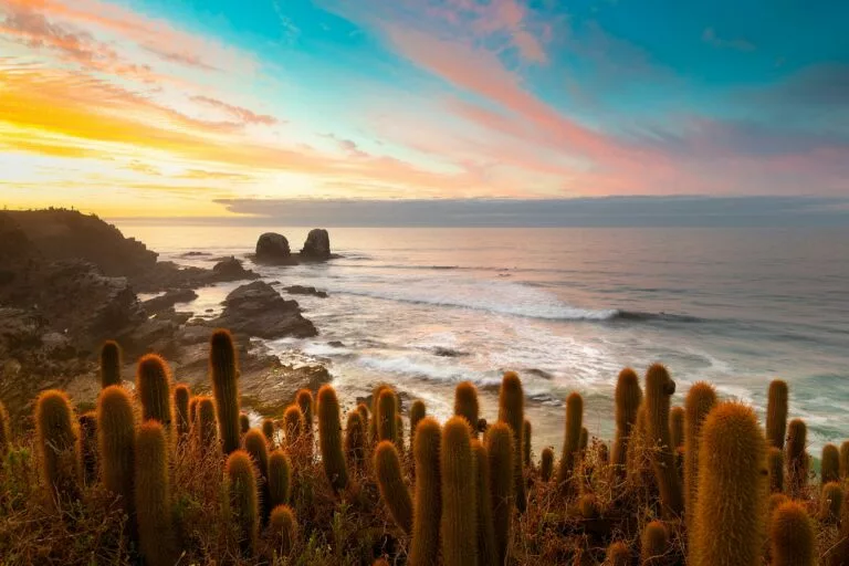 punta lobos pichilemu chile 768x512