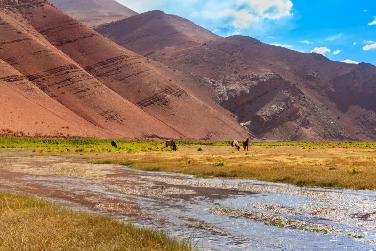 quebrada paredones tierra amarilla copiapo chile 768x512